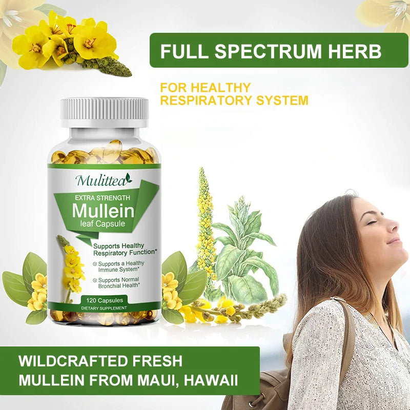 Mulittea Mullein Leaf Capsules For Respiratory Support