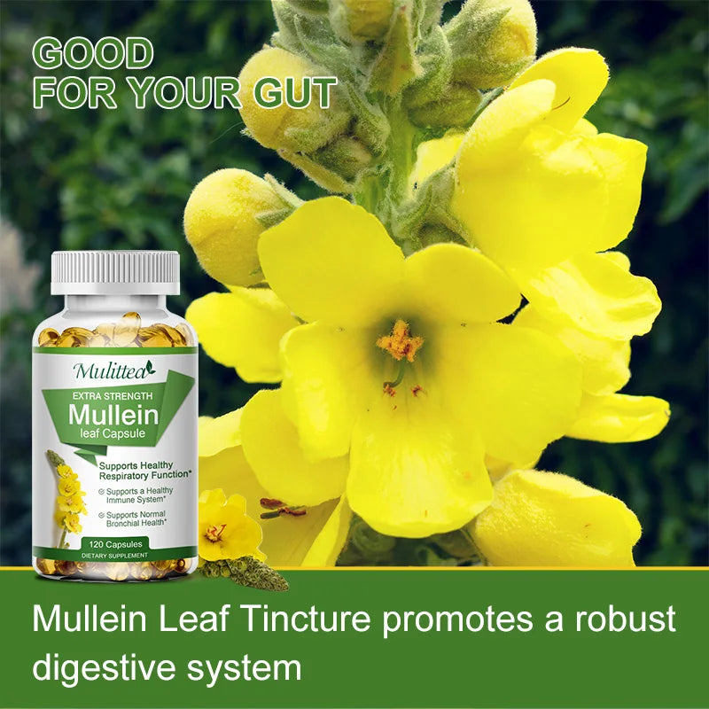 Mulittea Mullein Leaf Capsules For Respiratory Support