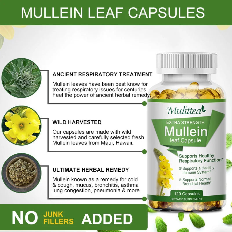 Mulittea Mullein Leaf Capsules For Respiratory Support